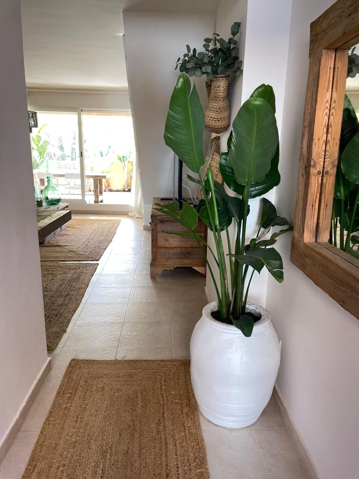 Alojamiento Arenal Park Jávea エクステリア 写真